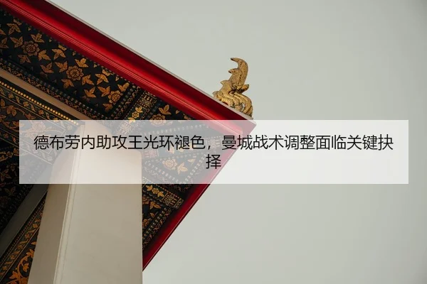 de-bu-lao-nei-zhu-gong-wang-guang-huan-tui-shai-man-cheng-zhan-shu-tiao-zheng-mian-lin-guan-jian-jue-ze-2-896.jpg